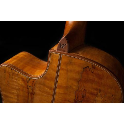 Washburn Wcg66Sce Comfort Series...