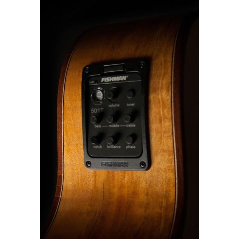 Washburn Wcg66Sce Comfort Series...