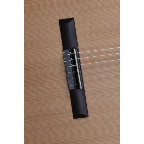Alhambra z nature ct caja normal electrificada puente