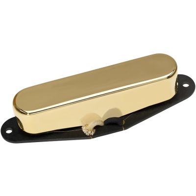 DiMarzio Notorius - mástil - gold - DP284G