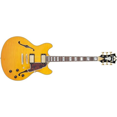D'Angelico Excel DC Vintage Natural...