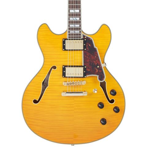 D'Angelico Excel DC Vintage Natural...
