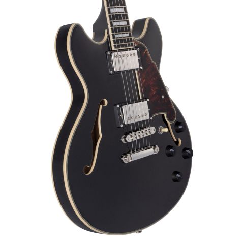 D'Angelico Premier DC Black Flake...