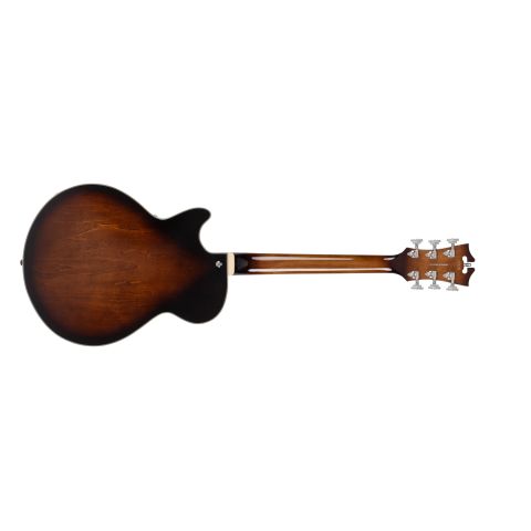 D'Angelico Premier SS Guitarra...