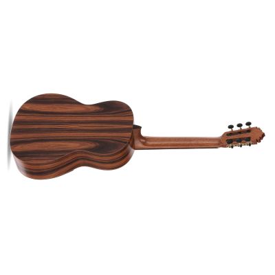 Manuel Rodríguez Academia Exótica Santos Pavo Real Guitarra Clásica 2