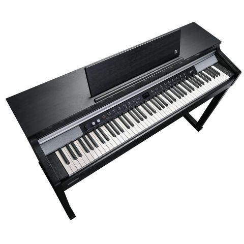 Kurzweil CUP P1 BK 88 Teclas Piano...