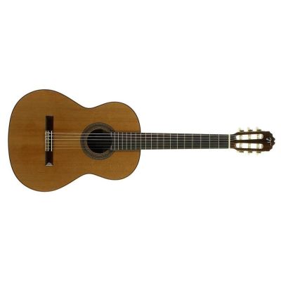 Jose Torres JTF-30 Guitarra Flamenca