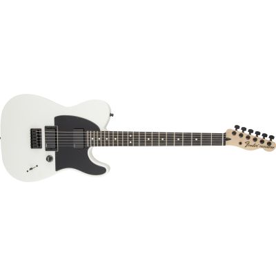 Fender Jim Root Telecaster Eb Flat White