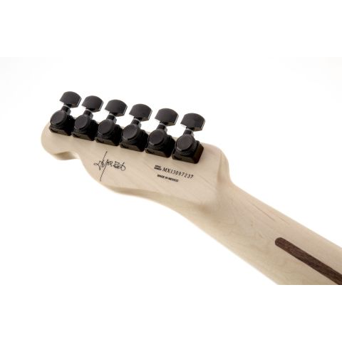 Fender Jim Root Telecaster Eb Flat White