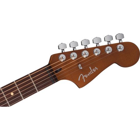 Fender Standard Acoustasonic...