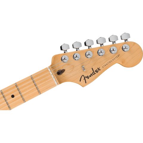 Fender Standard Stratocaster Olympic...