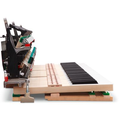 Kawai Novus NV5 S