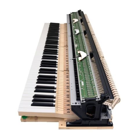 CASIO CELVIANO GRAND HYBRID GP-310WE...