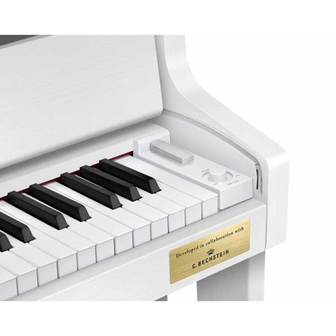 CASIO CELVIANO GRAND HYBRID GP-310WE...