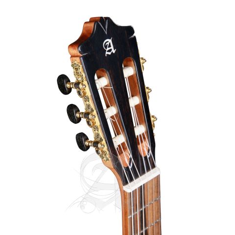 Alhambra GS Flamenco Green Sustain +...