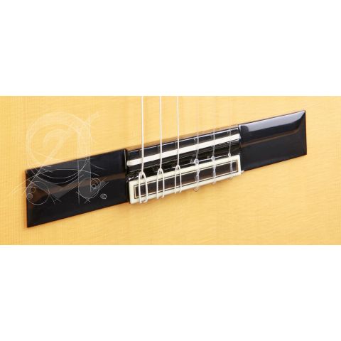 Alhambra GS Flamenco Green Sustain +...