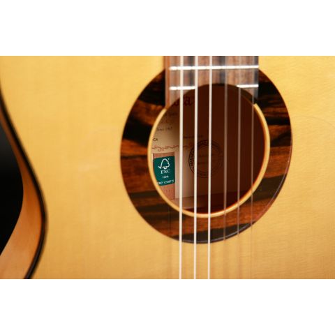 Alhambra GS Flamenco Green Sustain +...