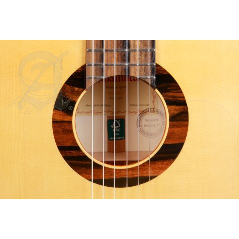 Alhambra GS Flamenco Green Sustain +...