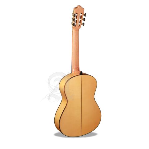 Alhambra GS Flamenco Green Sustain +...