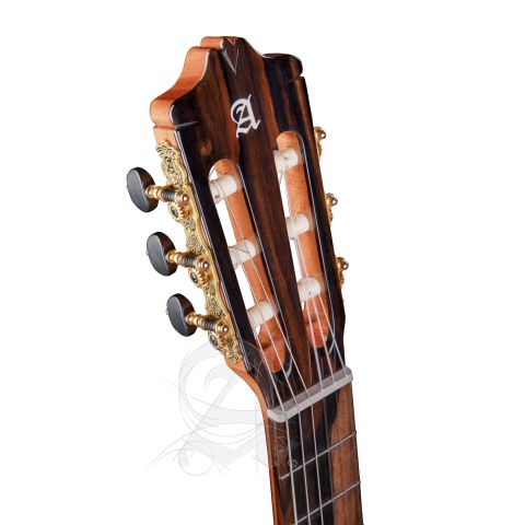 Alhambra GS Classical Green Sustain +...