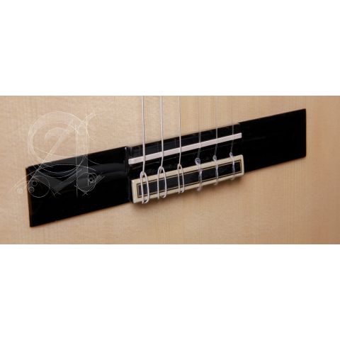 Alhambra GS Classical Green Sustain +...