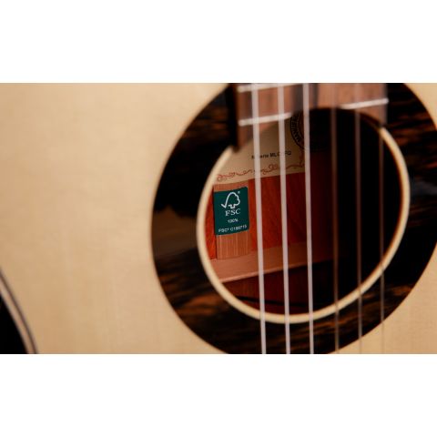 Alhambra GS Classical Green Sustain +...