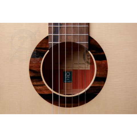 Alhambra GS Classical Green Sustain +...