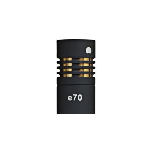 Cad Audio E70 Micrófono Condensador...