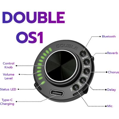 Jose Gomez C40 EQ CLASICA AMPLIFICADA CUTAWAY 2