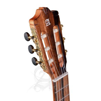 Alhambra GS Cut Away E8 Fishman Green Sustain + Funda Alhambra 9738 de 25mm
