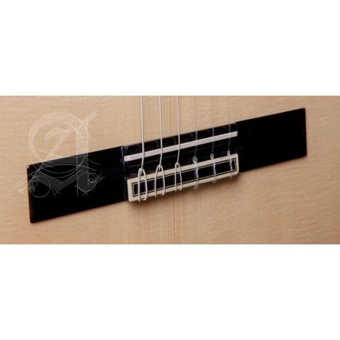 Alhambra GS Cut Away E8 Fishman Green Sustain + Funda Alhambra 9738 de 25mm