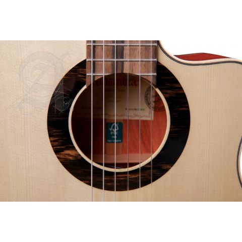 Alhambra GS Cut Away E8 Fishman Green Sustain + Funda Alhambra 9738 de 25mm