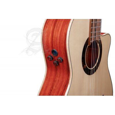 Alhambra GS Cut Away E8 Fishman Green Sustain + Funda Alhambra 9738 de 25mm