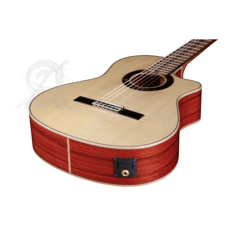 Alhambra GS Cut Away E8 Fishman Green Sustain + Funda Alhambra 9738 de 25mm