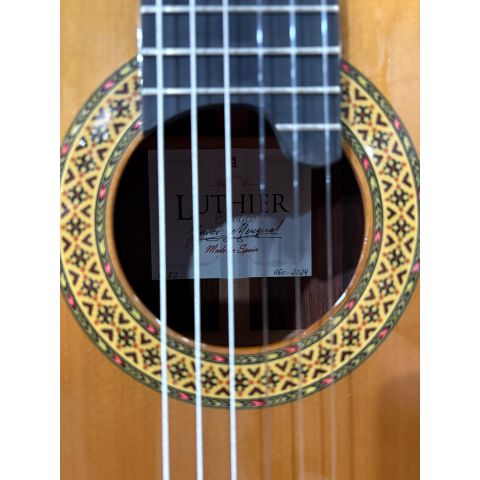 Alhambra J.M Vilaplana Exótico con tapa de Cedro Nitro  + Estuche Fibra 9650