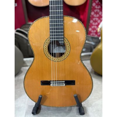 Alhambra J.M Vilaplana Exótico con tapa de Cedro Nitro  + Estuche Fibra 9650