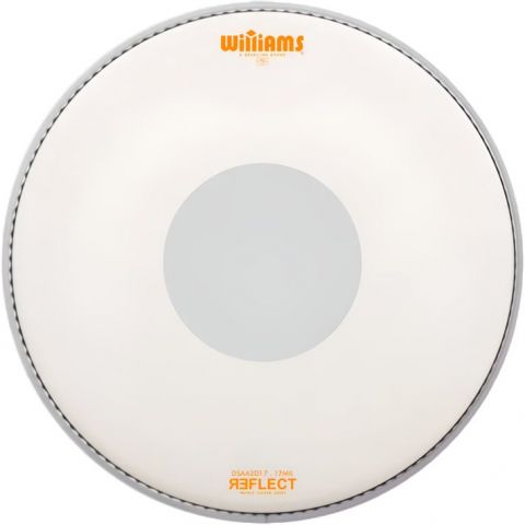 WILLIAMS 13" REFLECT COATED DOT SERIES DSAA2D23