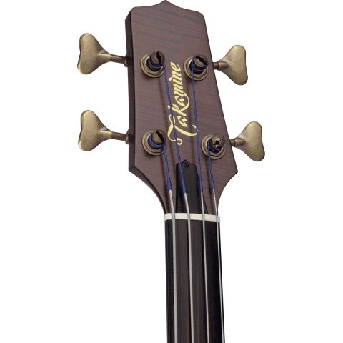 Takamine DB10 Fretless F-Hole Cutaway