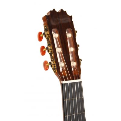 Antonio de Toledo ATF-17Z de Ziricote Guitarra Flamenca