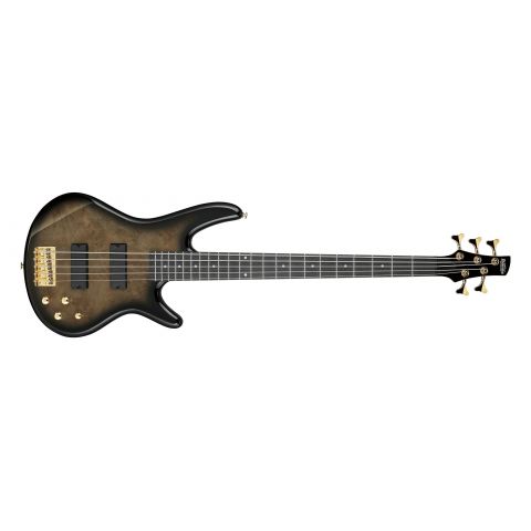 Ibanez GSR205PC-TPB 5 cuerdas  Transparent Pale Black Burst