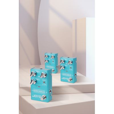 Joyo R-22 PEDAL SERIE R JOYO NARCISSUS CHORUS