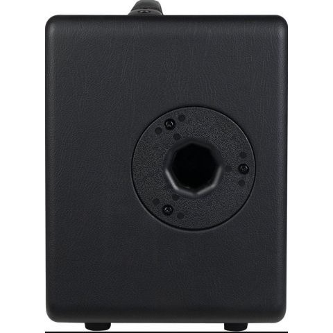 Joyo AC40S Amplificador de Guitarra Acústica 40W