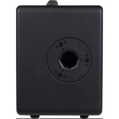 Joyo AC40S Amplificador de Guitarra Acústica 40W