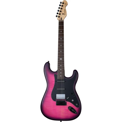 Mooer MSC31 Pro Purple Burs