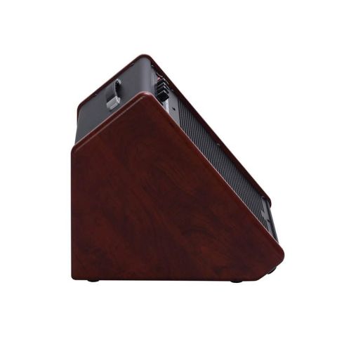 Medeli AP33 Amplificador especial Baterías 35w
