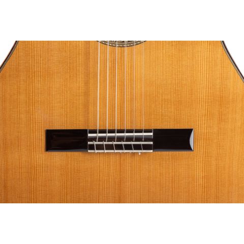 Admira Carmen Guitarra Flamenca