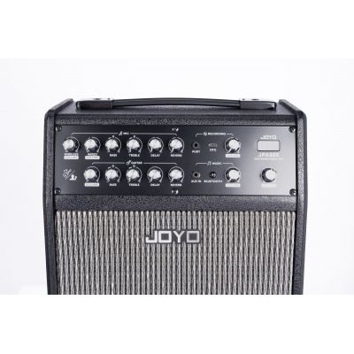 Joyo JPA-866 Altavoz portátil recargable con 2 micrófonos