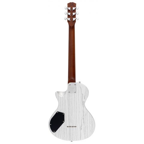 Sire Larry Carlton I5H Inca Silver
