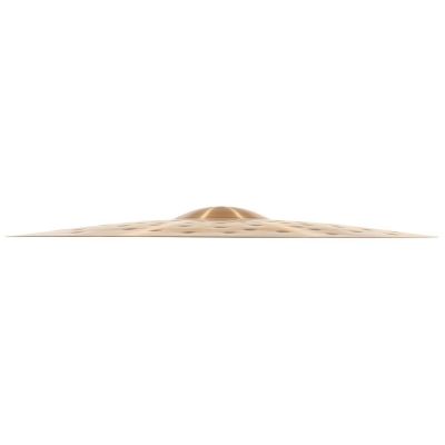 Meinl Crash Ride 22'' Extra Hammered Pure Alloy PA22EHCR