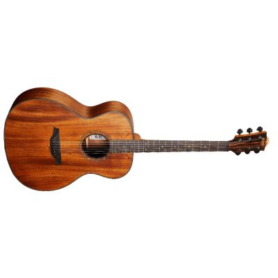 Bromo BAT2M Guitarra Acústica Tahoma Series